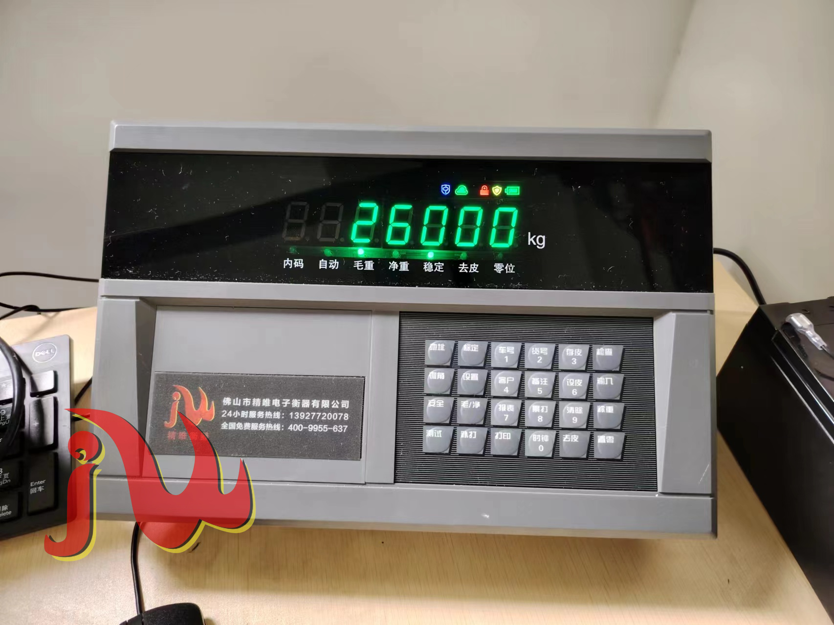 DS10 weighing instrument